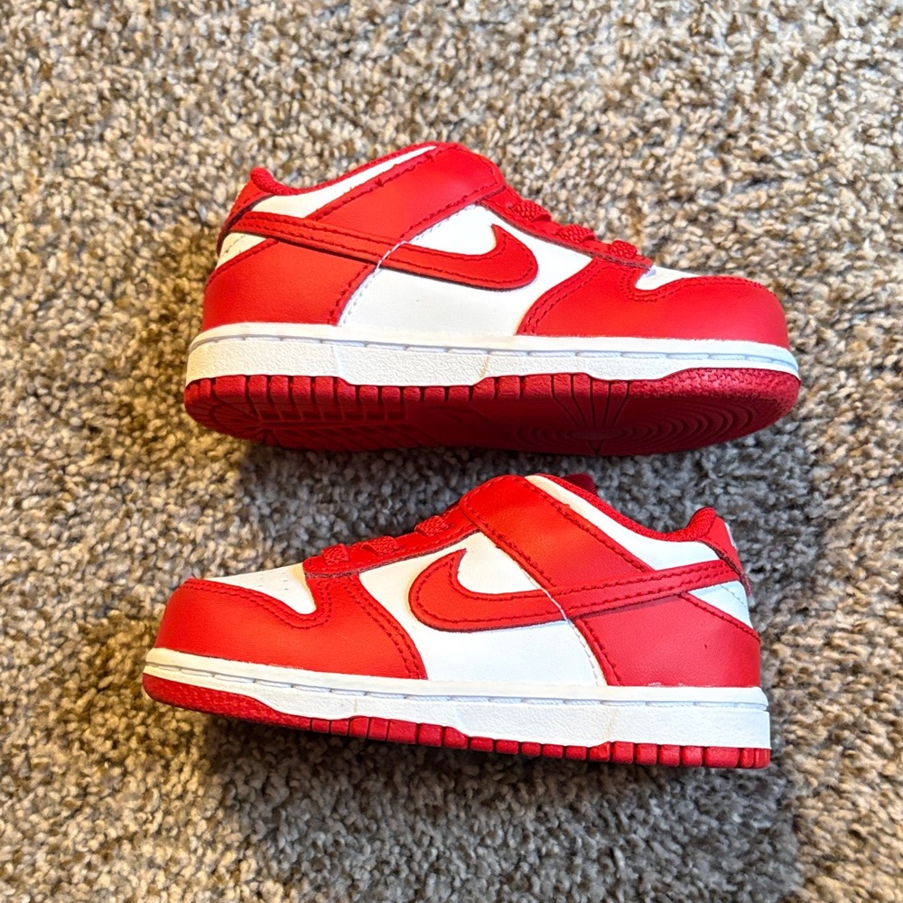 Nike Dunk Low (TDE)